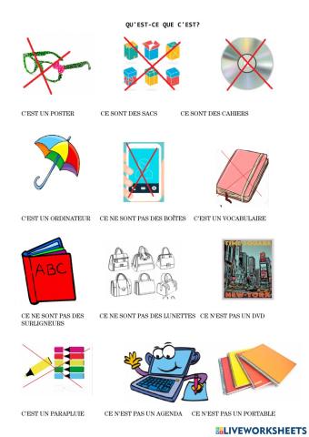 Qu'est-ce que c'est?