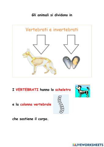 Vertebrati