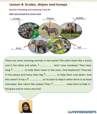 Access 6 - T3 - U8 - L4 - Act 3