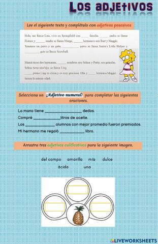 Adjetivos calificativos, posesivos, numeral