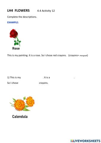 Flowers' description