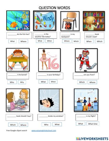 Question Words Exercise