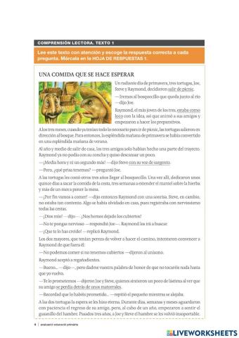 Competència bàsica castellà