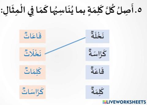 التراكيب اللغوية حرف الياء