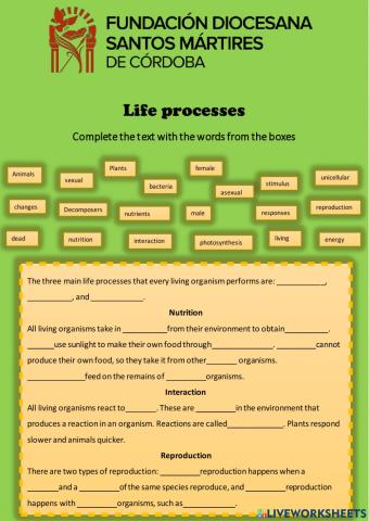 The five kingdoms of living things