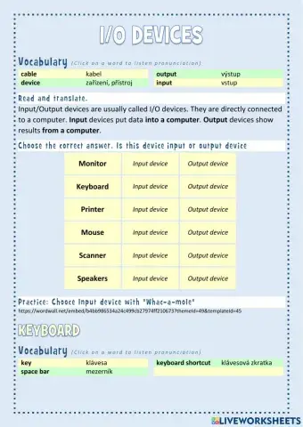 ICT - CLIL 2 - I-O Devices
