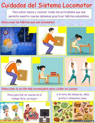 Cuidados Sistema Locomotor