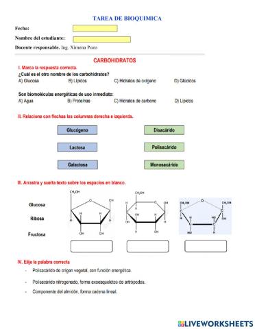 Glúcidos