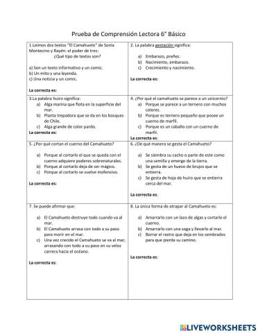 Lectura comprensiva Camahueto Rayen