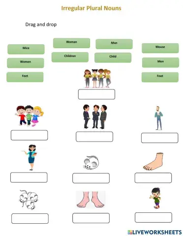 Irregulas Plural Nouns