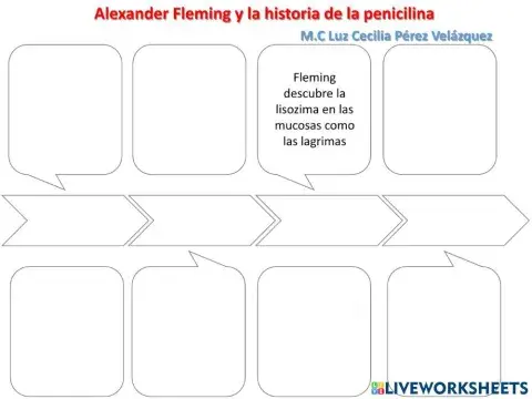 linea del tiempo penicilina