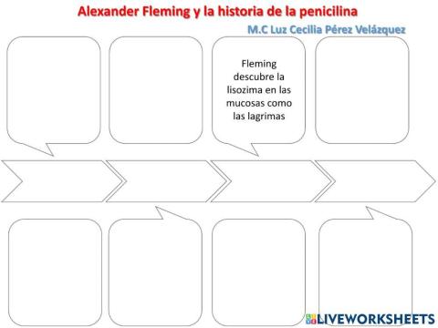 linea del tiempo penicilina