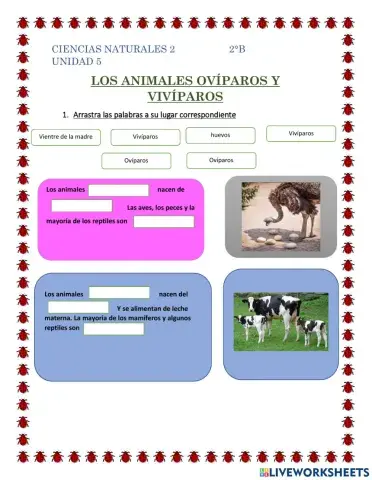 Animales ovíparos y vivíparos