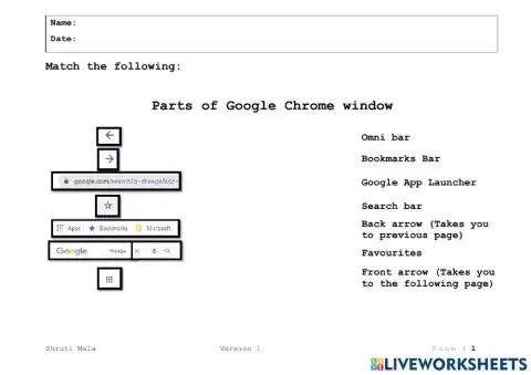 Google Chrome window