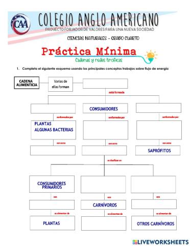 Practica mínima flujo de energía