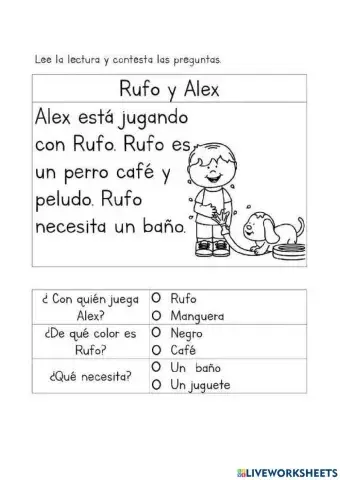 Comprensión Lectora