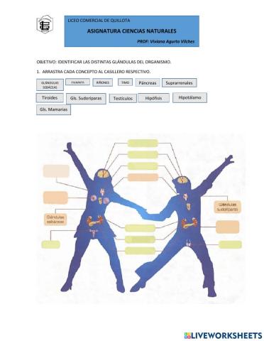 Sistemas de relación
