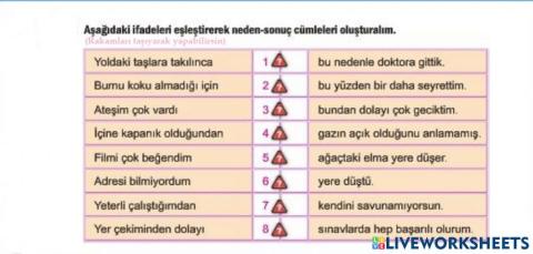Neden Sonuç Cümlelerini Tamamlayalım