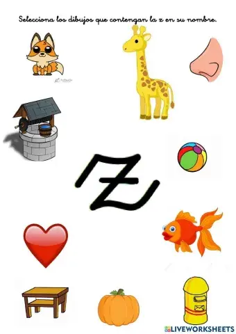 Ficha de la z