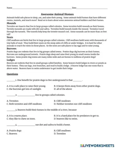 Awesome Animal Homes