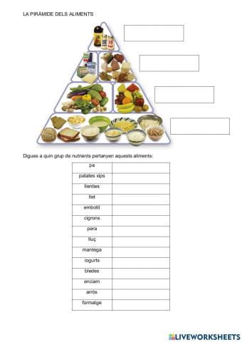 Piramide dels aliments