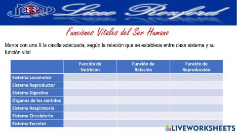 Funciones Vitales del Ser Humano