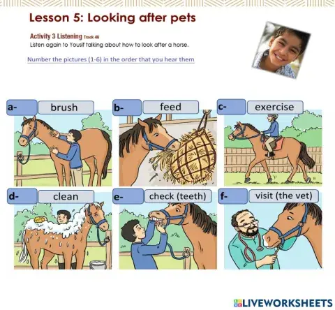 Access 6 - T3 - U8 - L5 - Act 3