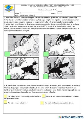 Vegetações da Europa