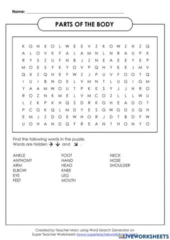Parts of the body word search