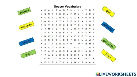 Soccer Vocabulary