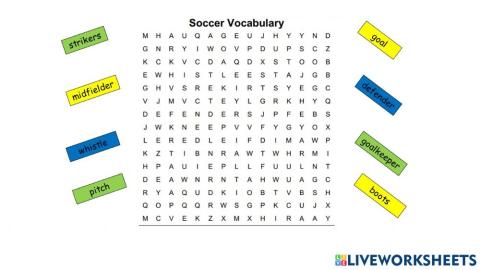 Soccer Vocabulary