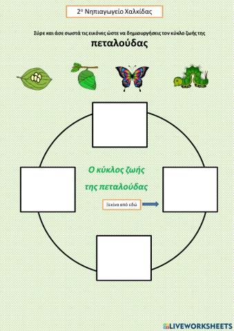 Ο κύκλος ζωής της πεταλούδας