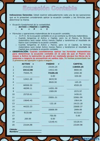 Ecuación Contable - Práctica.