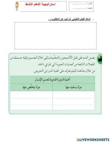 الدورة الدموية