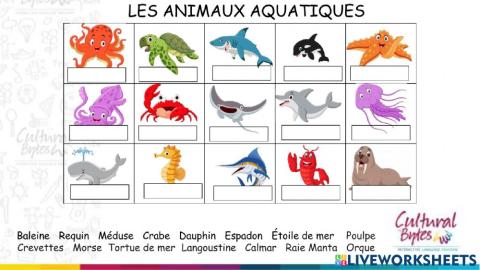 Animaux aquatiques