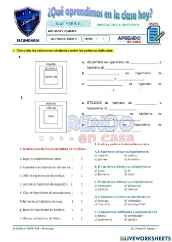 Prac. hiperónimos e hipónimos II