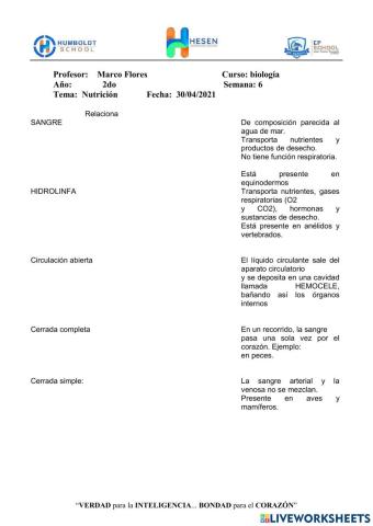 Circulación en animales