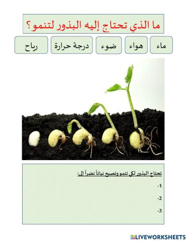 عوامل نمو البذور