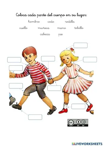 COLOCA CADA PARTE DEL CUERPO EN SU LUGAR