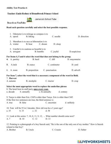 Ability Test  Practice 6