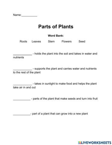 Parts of plants