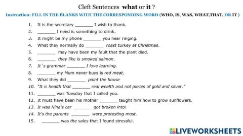 Cleft sentences fill in the blank
