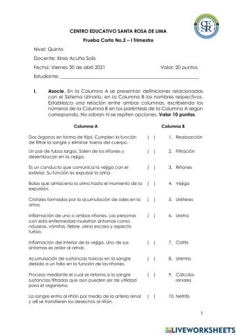 Prueba Corta no.2 Grado2021