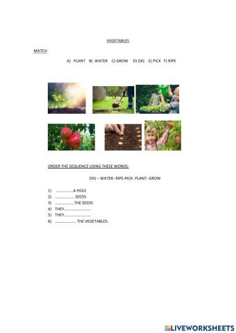 Our world 4 vegetables