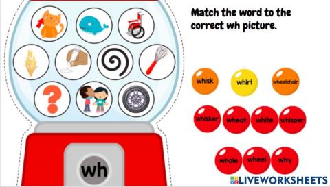 Wh picture match 1