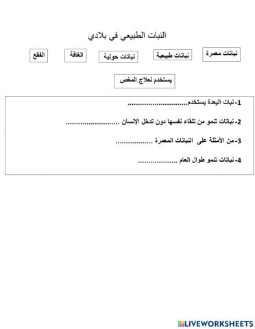 ورقة عمل النبات الطبيعي