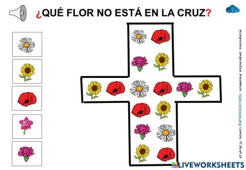 ¿Qué flor no está en la cruz?