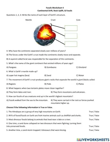 Science Fossils Continental Drift & Rock Uplift