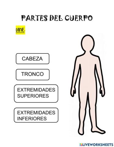 El cuerpo