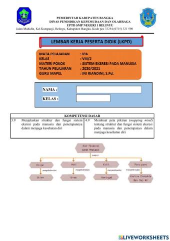 LKPD KD 3.9 Sistem Eksresi pada Manusia Kelas 8